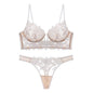 Sexy lingerie ultra-thin deep V-embroidered lace lingerie women's plus size bra set bra